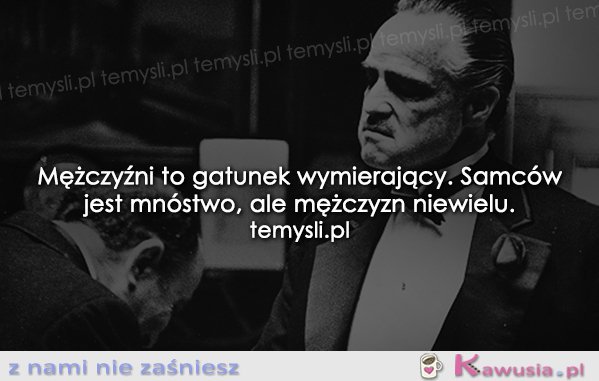 Mężczyźni to gatunek wymierający...