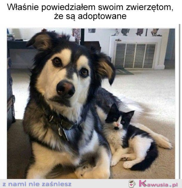 Właśnie się dowiedziały