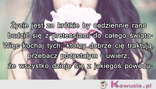 Życie jest za krótkie, by...