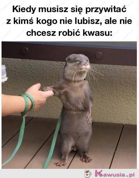 Nie będę robić kwasu