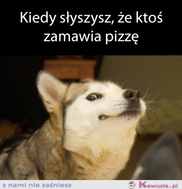 TO UCZUCIE