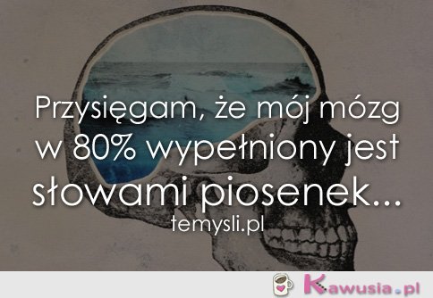 Przysięgam, że mój mózg