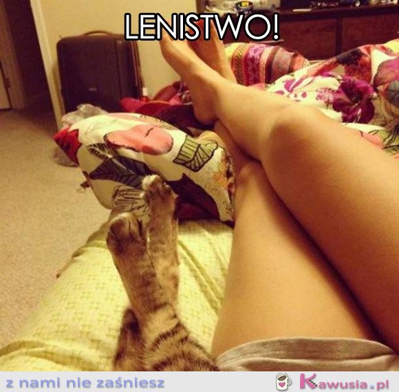 Lenistwo