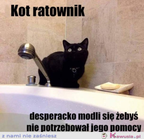 KOT RATOWNIK