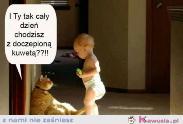 I ty tak cały dzień?