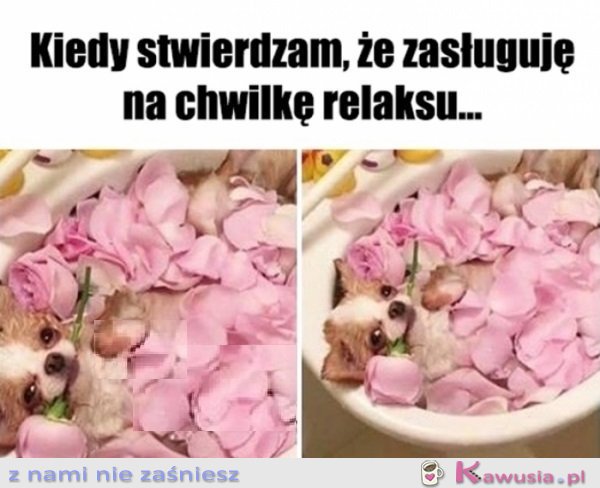 Się należy, a co...