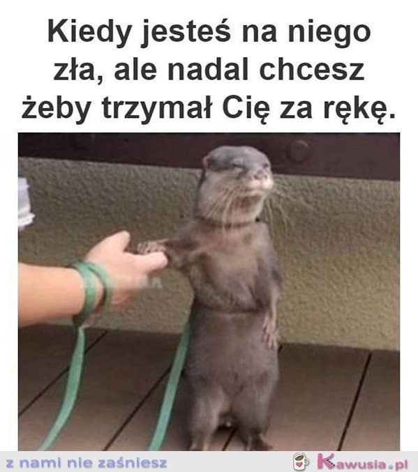 Kiedy jesteś na niego zła, ale...