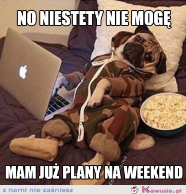 PLANY NA WEEKEND