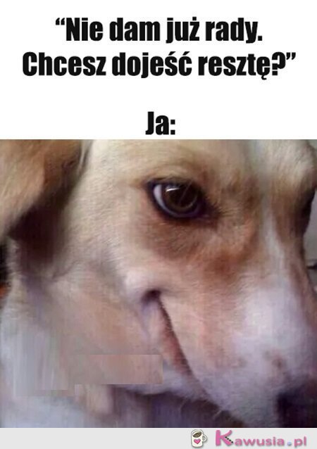 Jeszcze pytasz