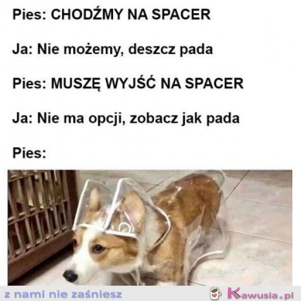 Chodźmy na spacer