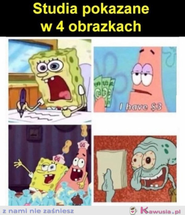 Studia pokazane na 4 obrazkach