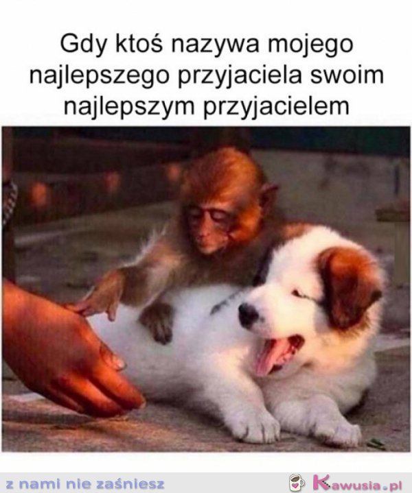 Ejjjj łapy precz