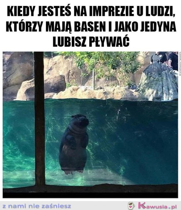 I TAK SIĘ DOBRZE BAWIĘ