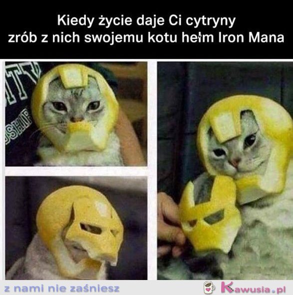 Kiedy życie daje ci cytryny