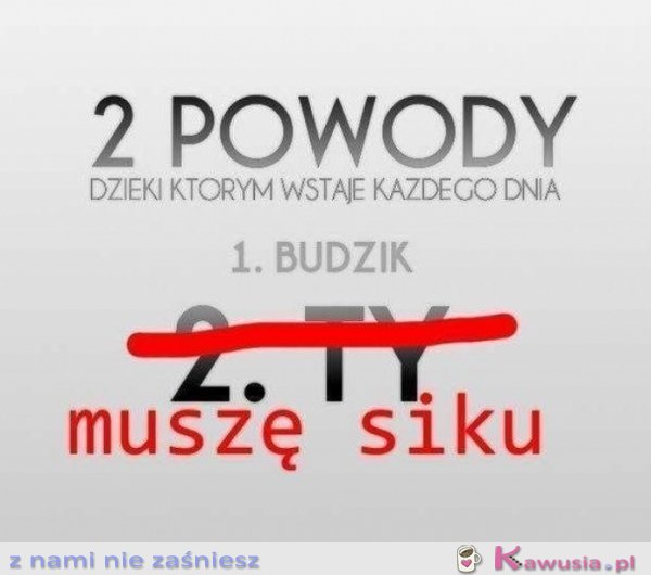 Dwa powody