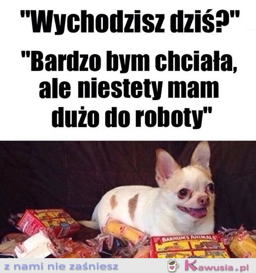 Mega ważne plany mam...