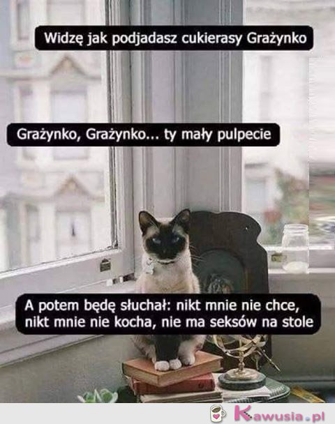 Ojjj Grażyna, Grażyna