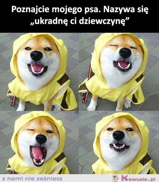 UROCZY PIESEK