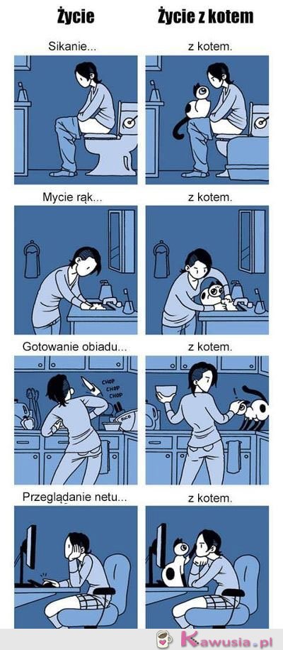 Życie kontra życie z kotem