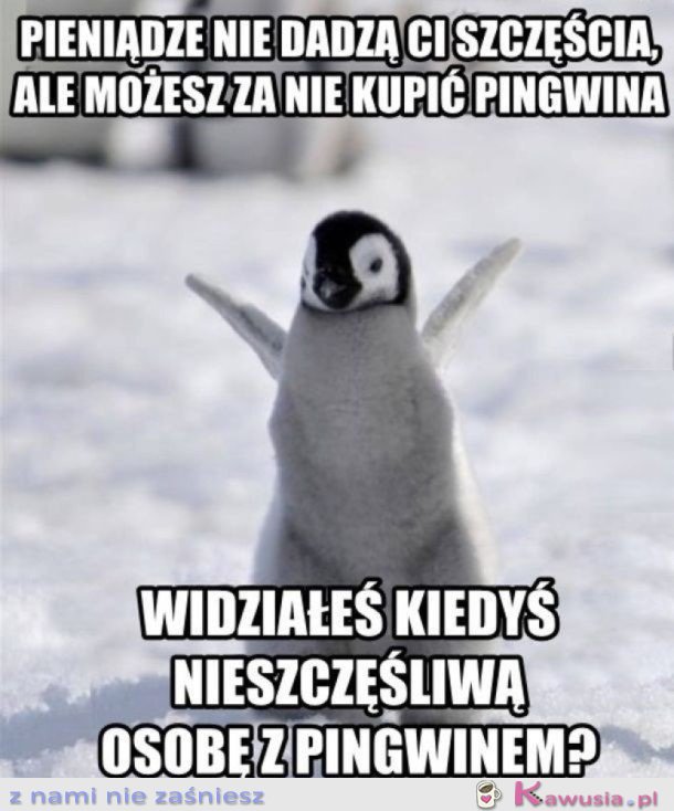 PIENIĄDZE SZCZĘŚCIA NIE DAJĄ