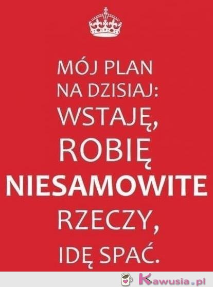 Mój plan na dzisiaj