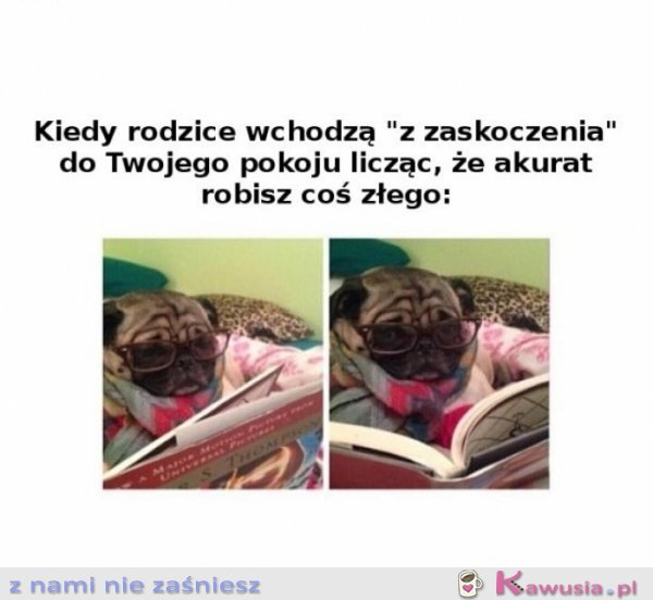 Ja przecież nie robię nic złego