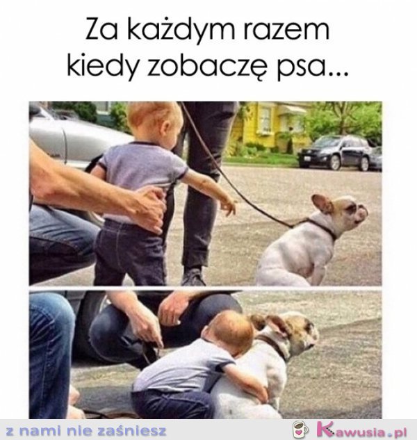 Za każdym razem kiedy zobaczę psa