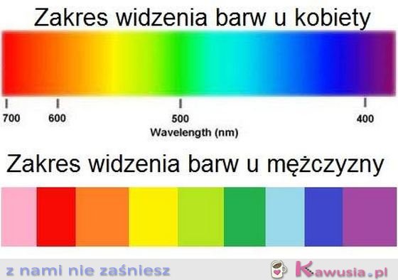 Zakres widzenia barw