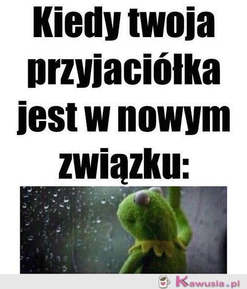 No i co tu robić?