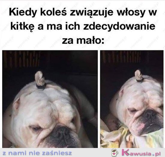 Panowie proszę nie róbcie tego