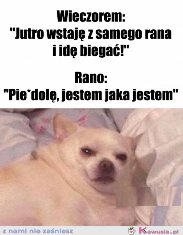 O 6 rano akceptuję siebie jak nigdy...