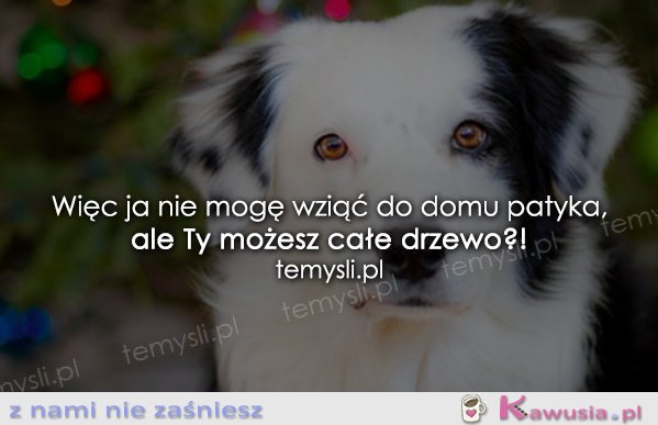 To jest bardzo niesprawiedliwe