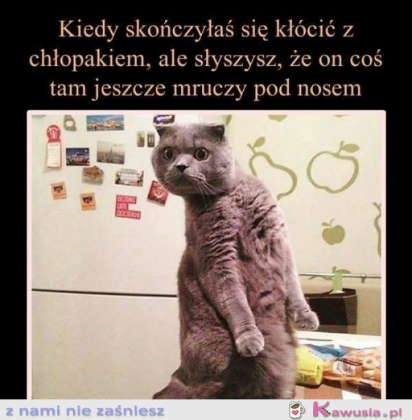 Koniec, powiedziałam koniec