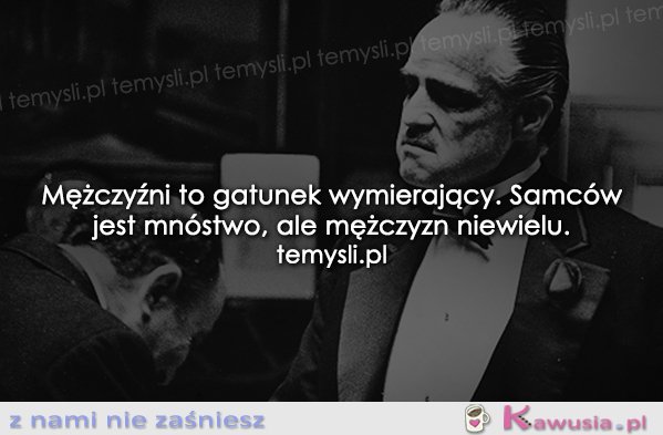 Mężczyźni to gatunek wymierający...