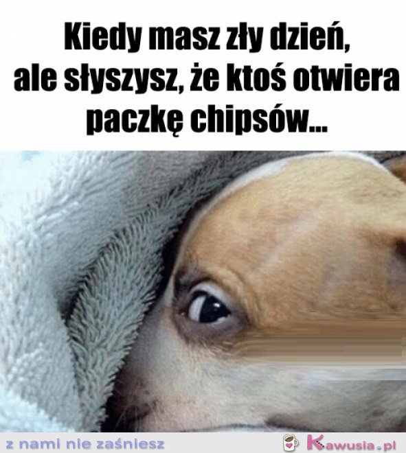 Może nie wszystko stracone...