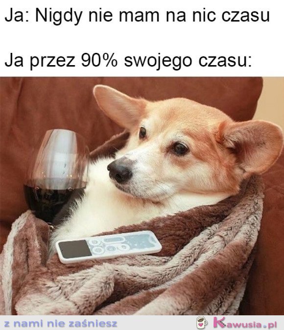 MOJE ŻYCIE 