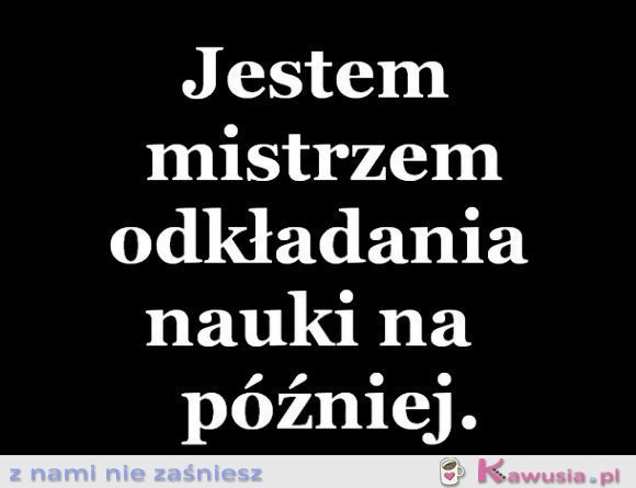 Jestem mistrzem