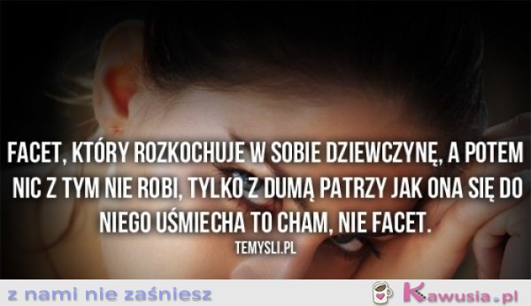 Facet który