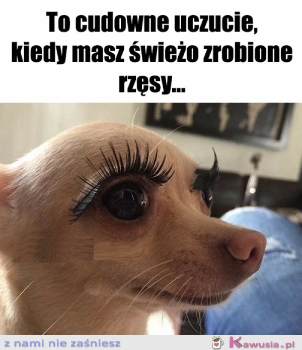 Teraz uważajcie na przeciągi...