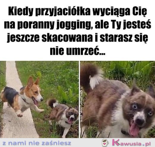 To był błąd...