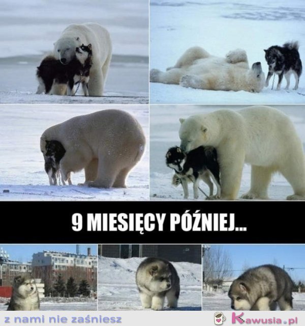 9 miesięcy p&oacute;źniej..