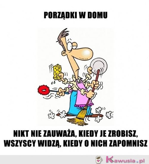 Cała prawda o porządkach w domu...