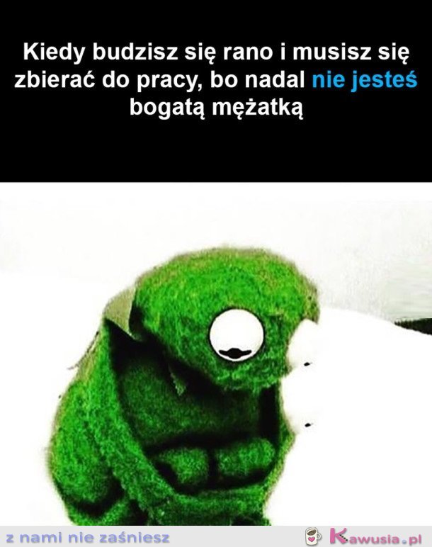 KOLEJNY DZIEŃ