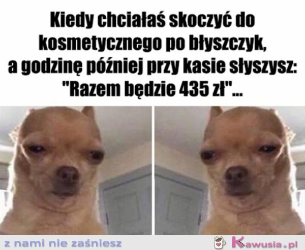 Znowu to zrobiłam...