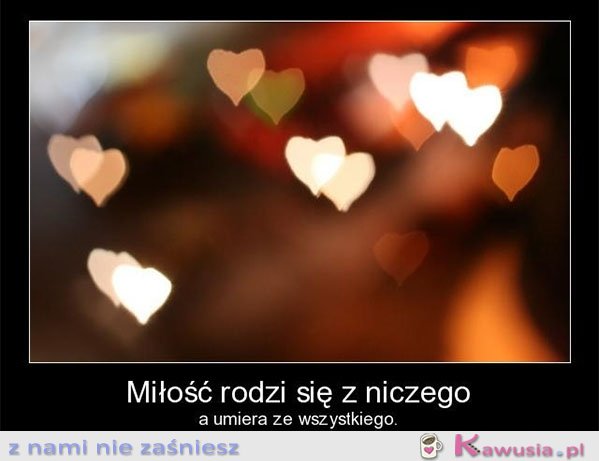 Miłość rodzi się z niczego