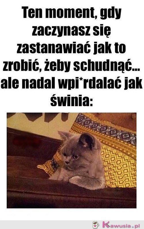 Oto jest pytanie...