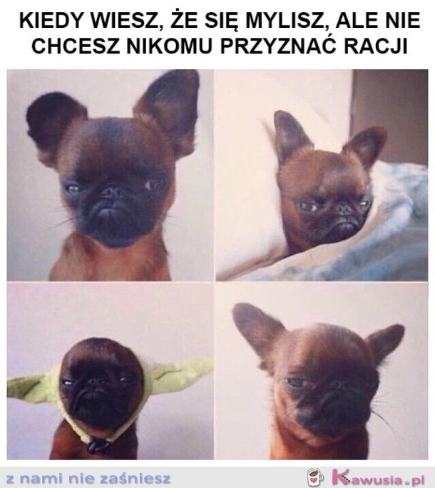 No cóż, taka jestem...