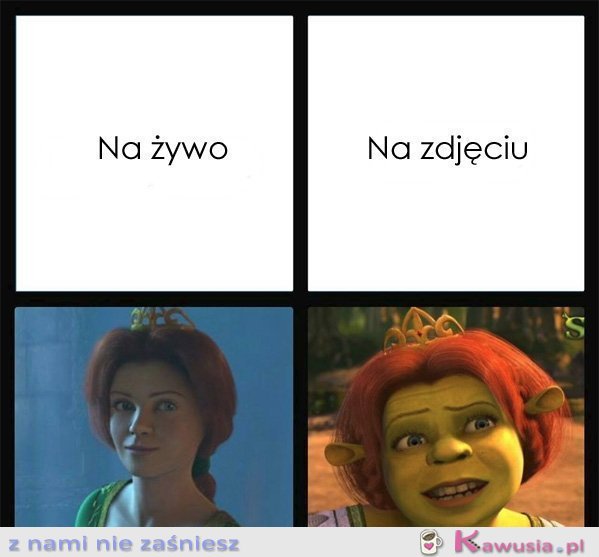 Na żywo, a na zdjęciu