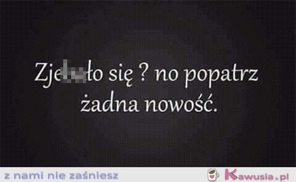 Żadna nowość