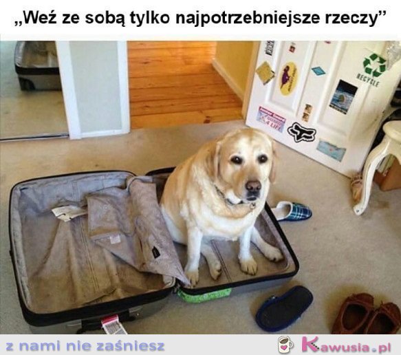 Kochanie już się spakowałam